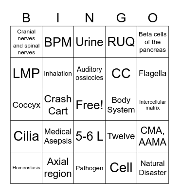 110 Final Review Bingo Card