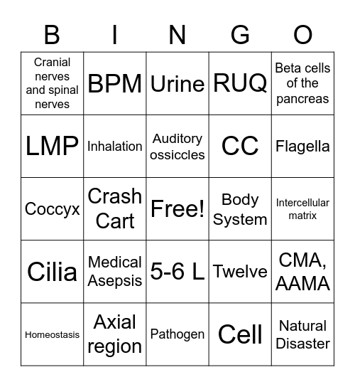 110 Final Review Bingo Card