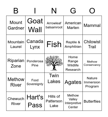 Environmental Stewardship Bingo Card