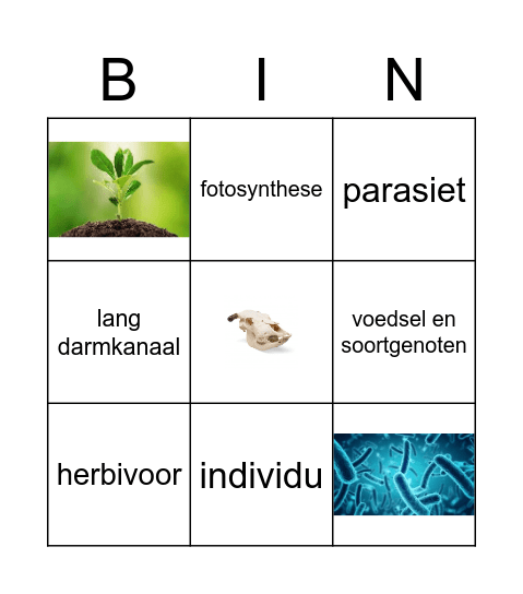 Ecologie Bingo Card