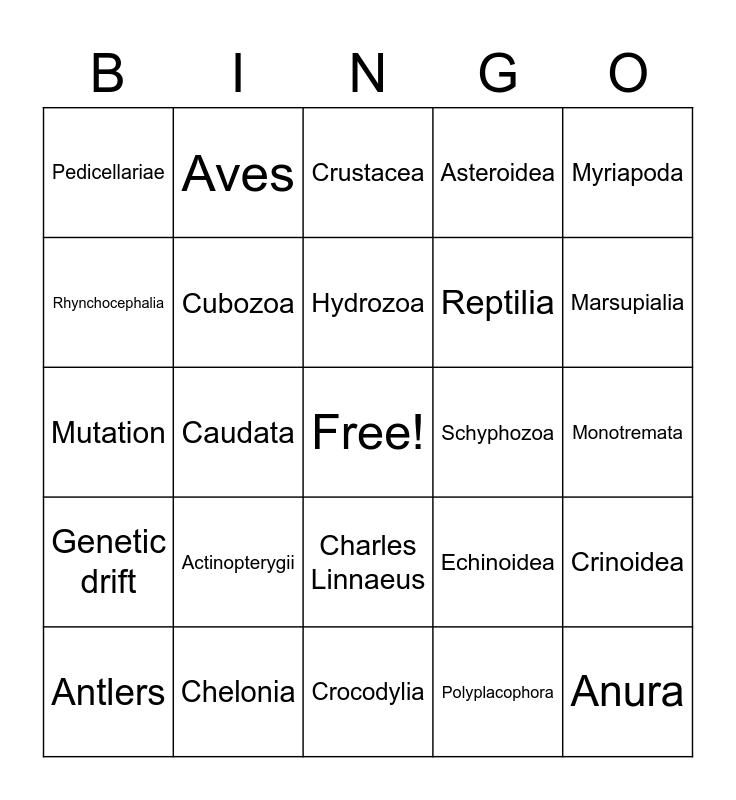 Zoology Final Exam 3 Bingo Card