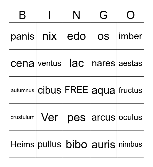 Latin Ch. 19-25 Bingo Card