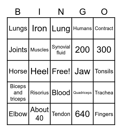 Brain Busters: Human Body Bingo Card