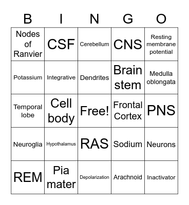 Nervous System: Nervous Tissue & Brain Bingo Card