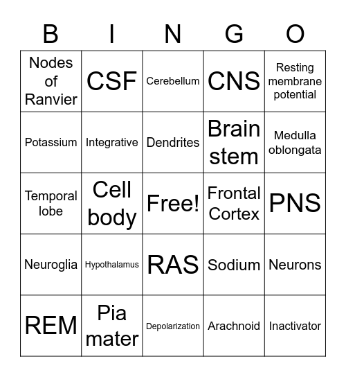 Nervous System: Nervous Tissue & Brain Bingo Card