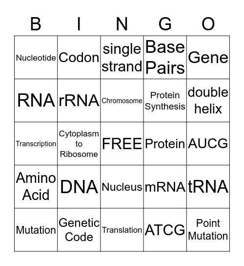 DNA and PROTEIN SYNTHESIS Bingo Card