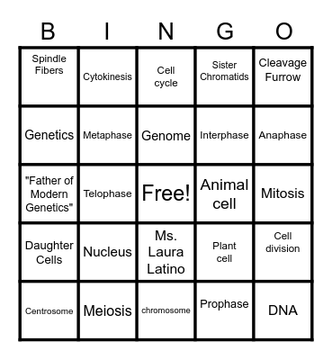 Cell Division Bingo Card