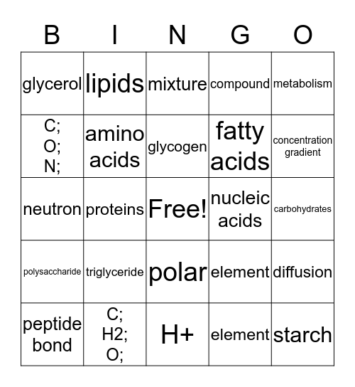 RHS Biology Winter Final Bingo Card