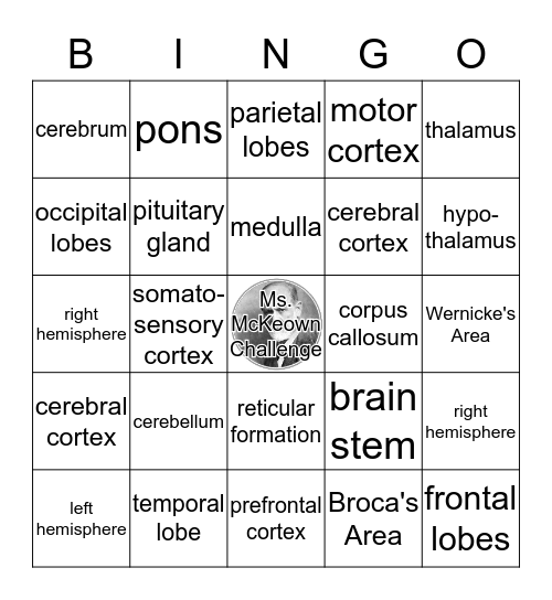 Brain Bingo Card