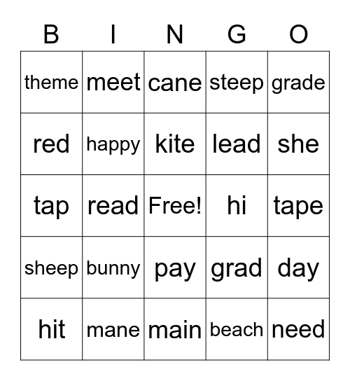 Long Vowel Bingo (a,e,i) Bingo Card