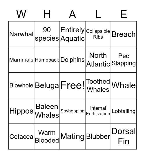 Cetaceans  Bingo Card