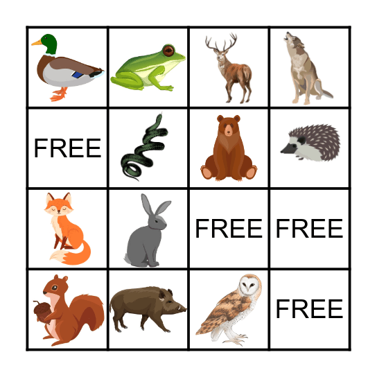 Forest animals Bingo Card