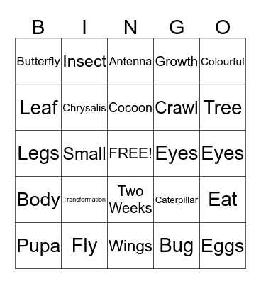 Butterfly Life Cycle Bingo Card