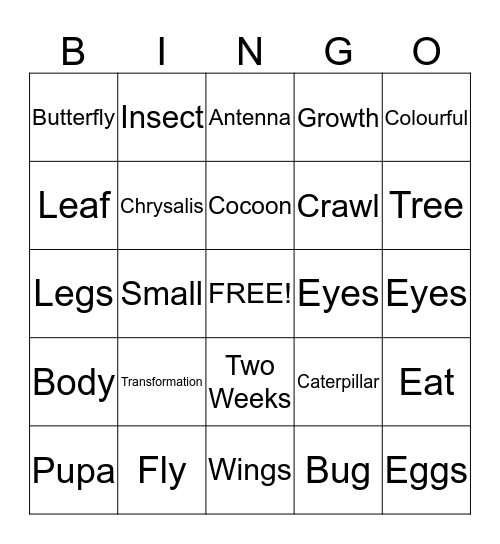 Butterfly Life Cycle Bingo Card