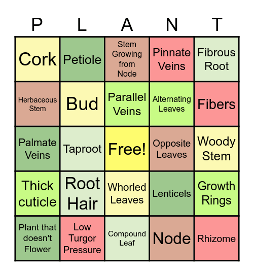 Plant-Part Bingo Card