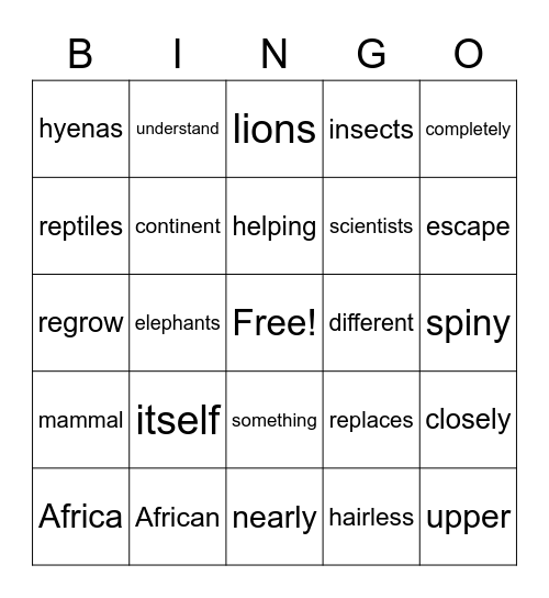 African Spiny Mice Bingo Card
