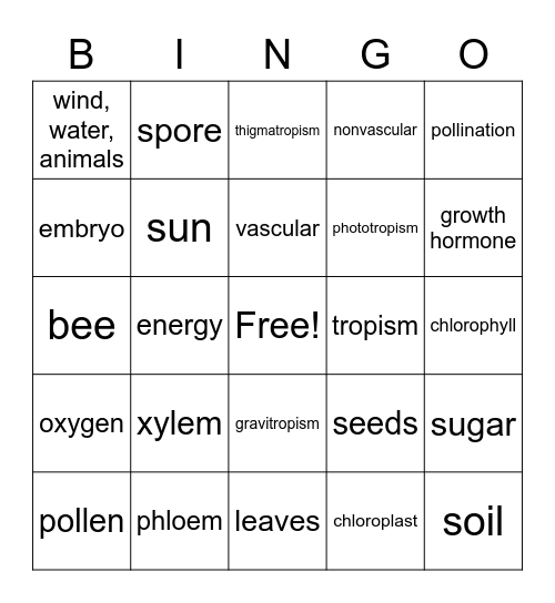 Photosynthesis Bingo Card