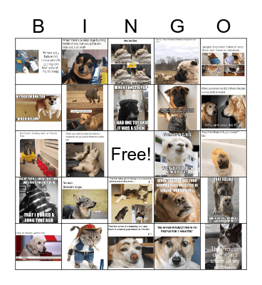 OCCC Animal Bingo Card