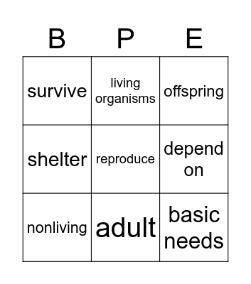 1st Grade Science Bingo Card