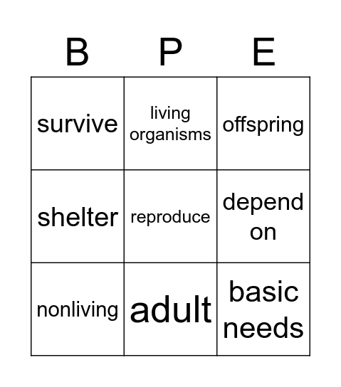 1st Grade Science Bingo Card