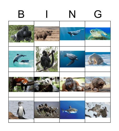 Endangered Animals Bingo Card