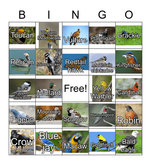 Bird Bingo Card