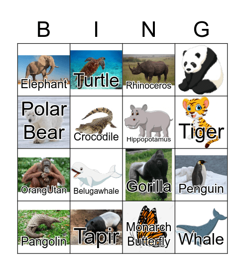 Endangered Animals Bingo Card