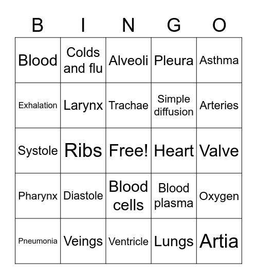 Respiratory / Circulatory Vocab Bingo Card