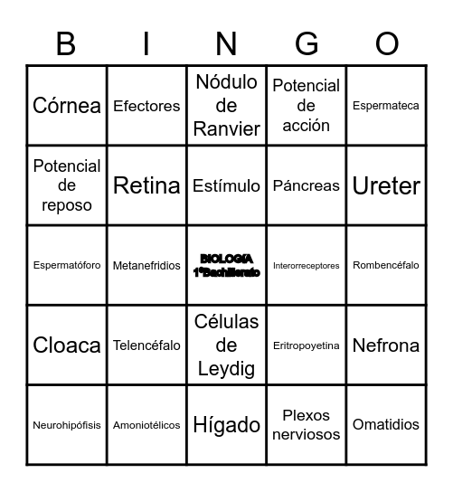 Relación y reproducción en vertebrados (y el excretor!!) Bingo Card