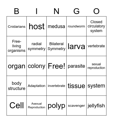 Sponges, Cnidarians, Worms Bingo Card