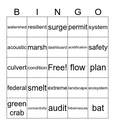 ENV Bingo Card