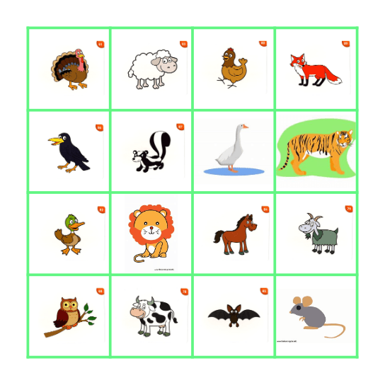 Animals Bingo Card