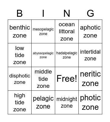 Marine Life Zones BING (No O!) Bingo Card