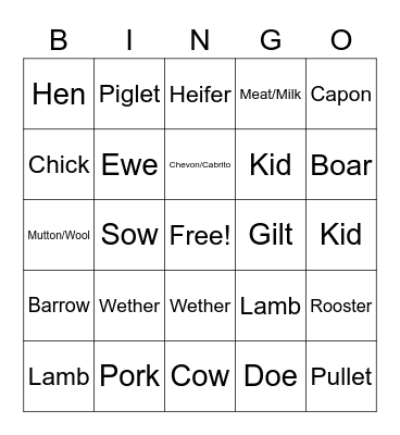 Animal Terms Bingo Card
