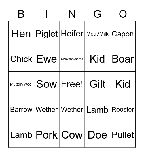 Animal Terms Bingo Card