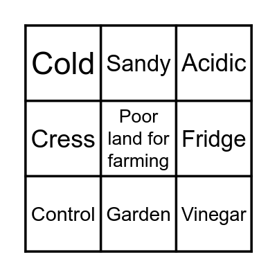 Experiment Bingo Card