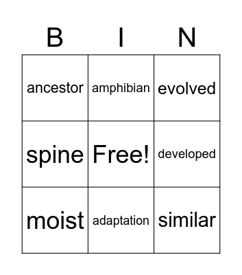 Adaptation Vocabulary Bingo Card