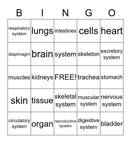 Science - Ch. 5, Structure and Function Bingo Card