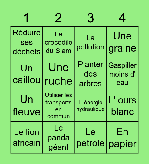 BINGO SOLIDAIRE Bingo Card