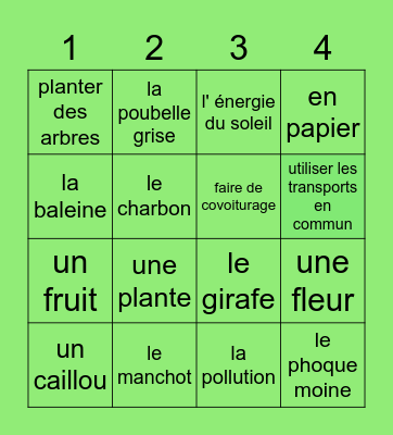 BINGO SOLIDAIRE Bingo Card