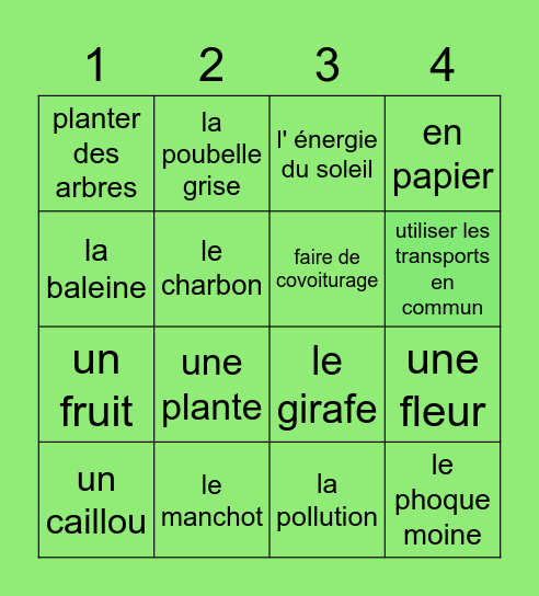 BINGO SOLIDAIRE Bingo Card