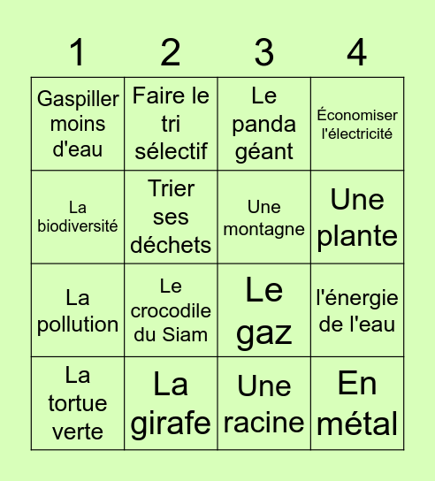 BINGO SOLIDAIRE Bingo Card