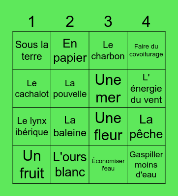 BINGO SOLIDAIRE Bingo Card