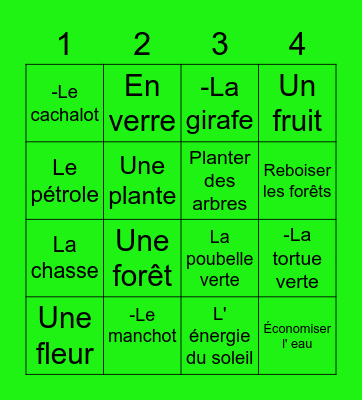 BINGO SOLIDAIRE Bingo Card