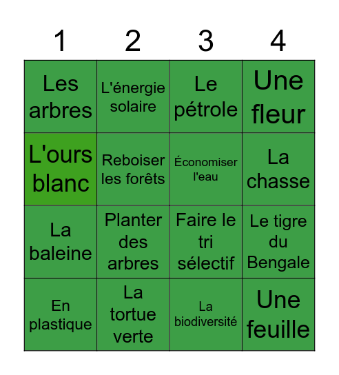 BINGO SOLIDAIRE Bingo Card