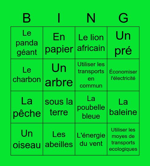 BINGO SOLIDAIRE Bingo Card