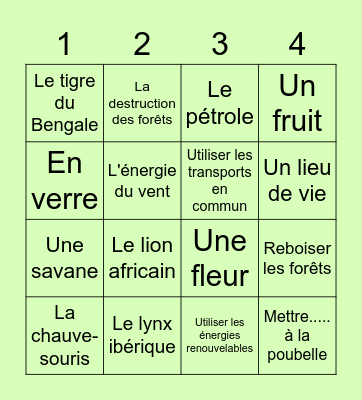 BINGO SOLIDAIRE Bingo Card