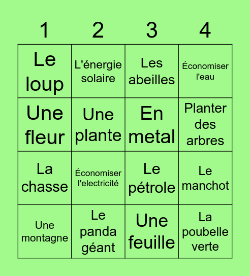 BINGO SOLIDAIRE Bingo Card