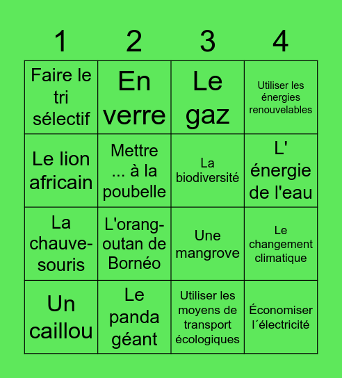 BINGO SOLIDAIRE Bingo Card