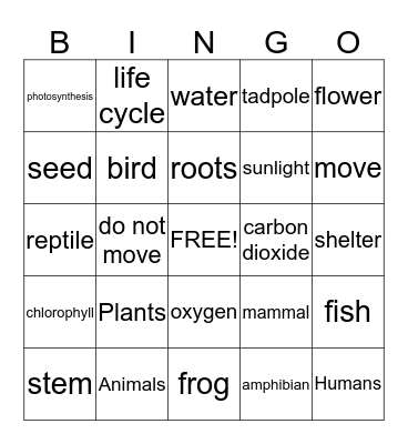 Plants/Animals BINGO Card